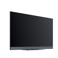 PHILIPS - 43HFL301412