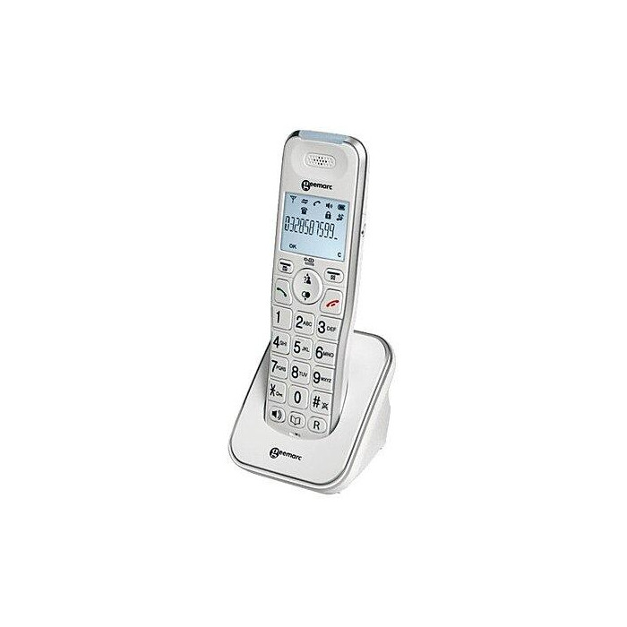 coverDECT295-dect295
