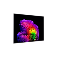 OLED55G64LW-1000142371_OLED55G64LW_a5_large