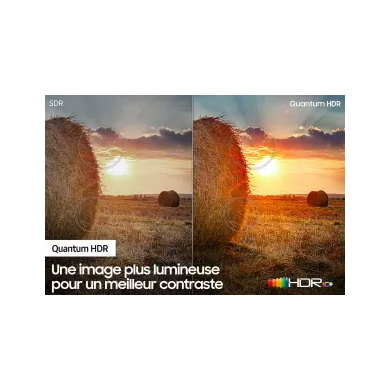 TQ55Q65C-1000123924_TQ55Q65C_a3_medium