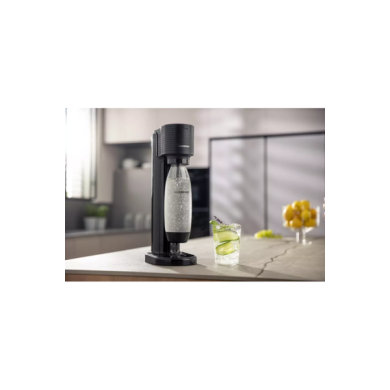 GAIA-1000124012_GAIA_e_large