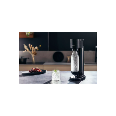 GAIA-1000124012_GAIA_f_large