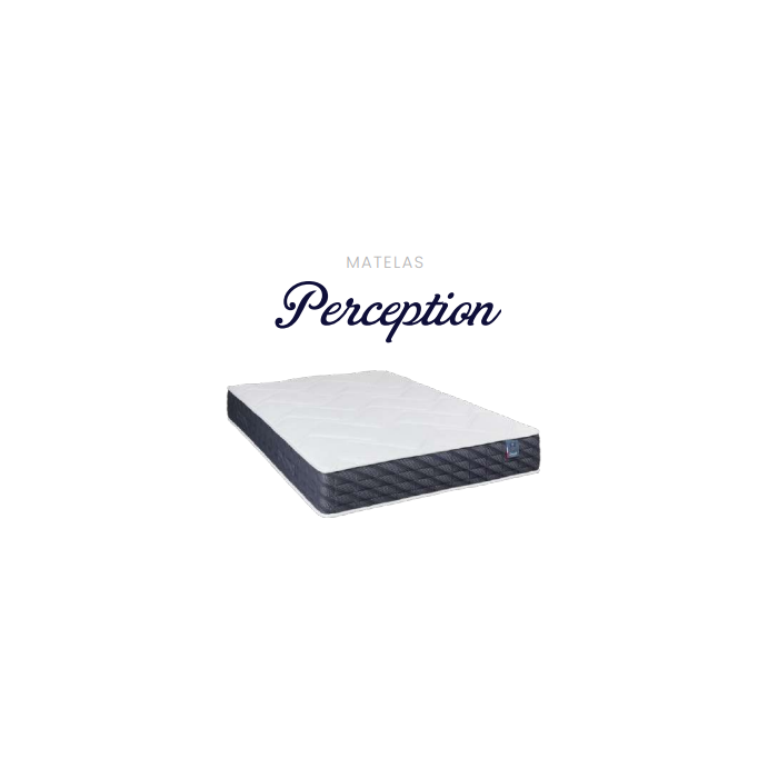 PERCEPTION-Capture d’ecran 2025-09-16 170110