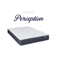 PERCEPTION-Capture d’ecran 2025-09-16 170110