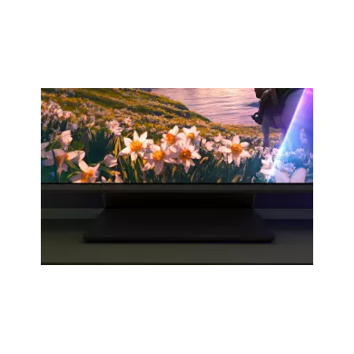 43PUS860012-1000140015_43PUS8600_12_a3_mediu