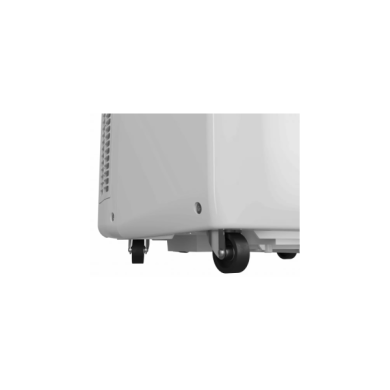 PACF29COW-1000141136_PACF29COW_d_large