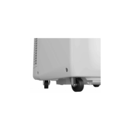 PACF29COW-1000141136_PACF29COW_d_large